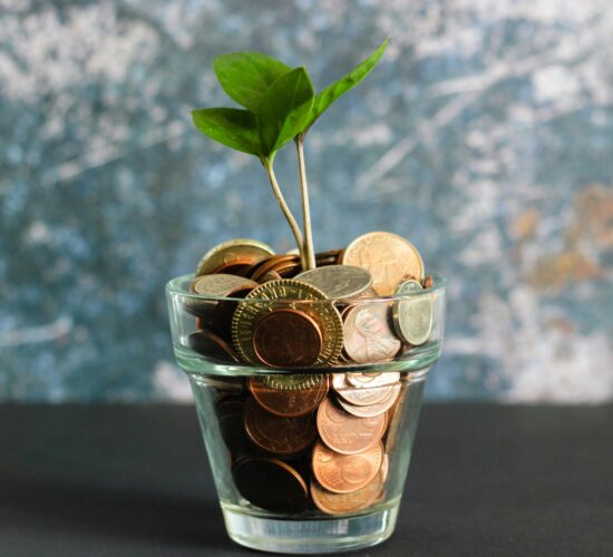 From Beginner to Investor: How to Build Wealth with Smart Property Investments